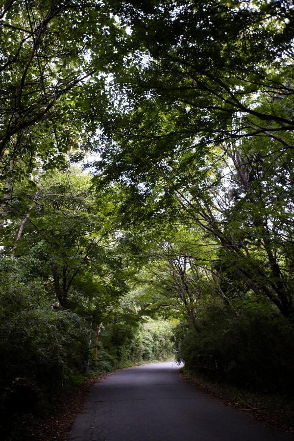 Hotel Sengokuhara 533 Hakone Dış mekan fotoğraf